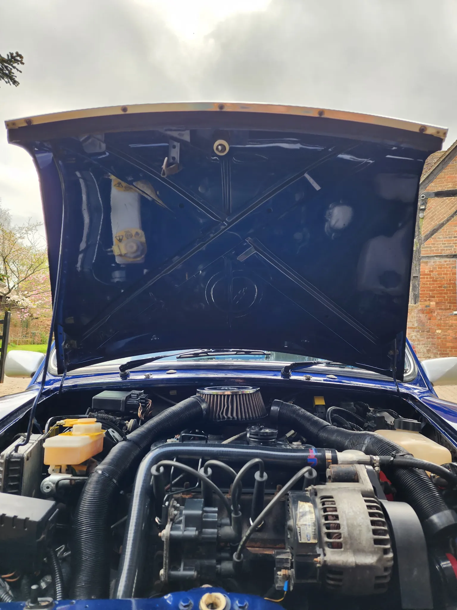 2000 Rover Mini Cooper Sport | 44k Miles | Exceptional Condition thumbnail 7