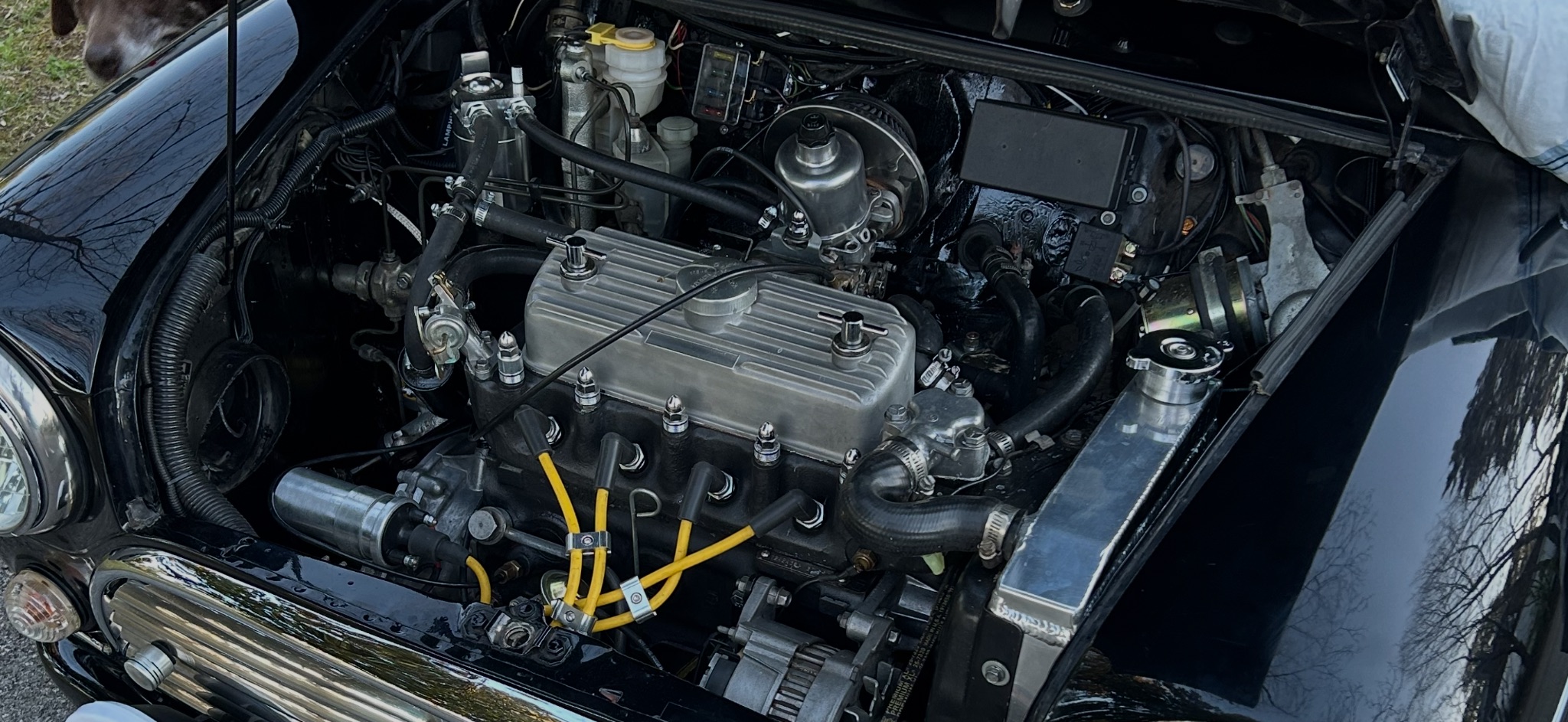 1991 Mini Cooper thumbnail 4